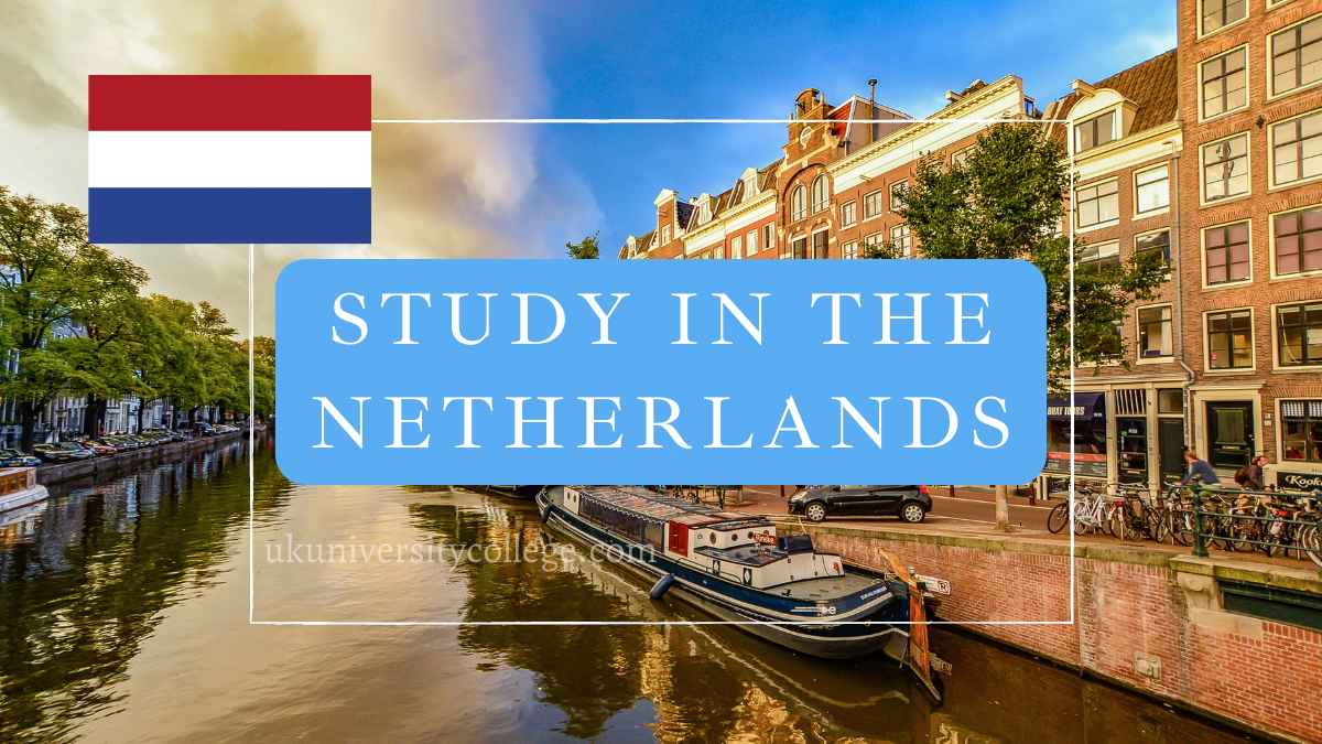 study in the netherlands